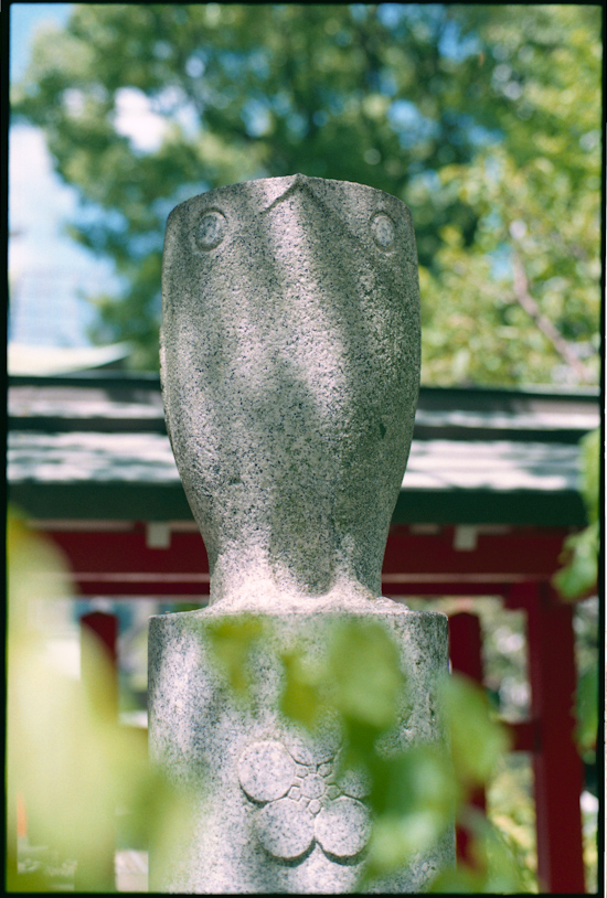 水鏡神社の鷽