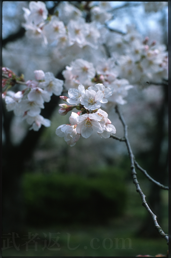 Scan-130421-0001-3